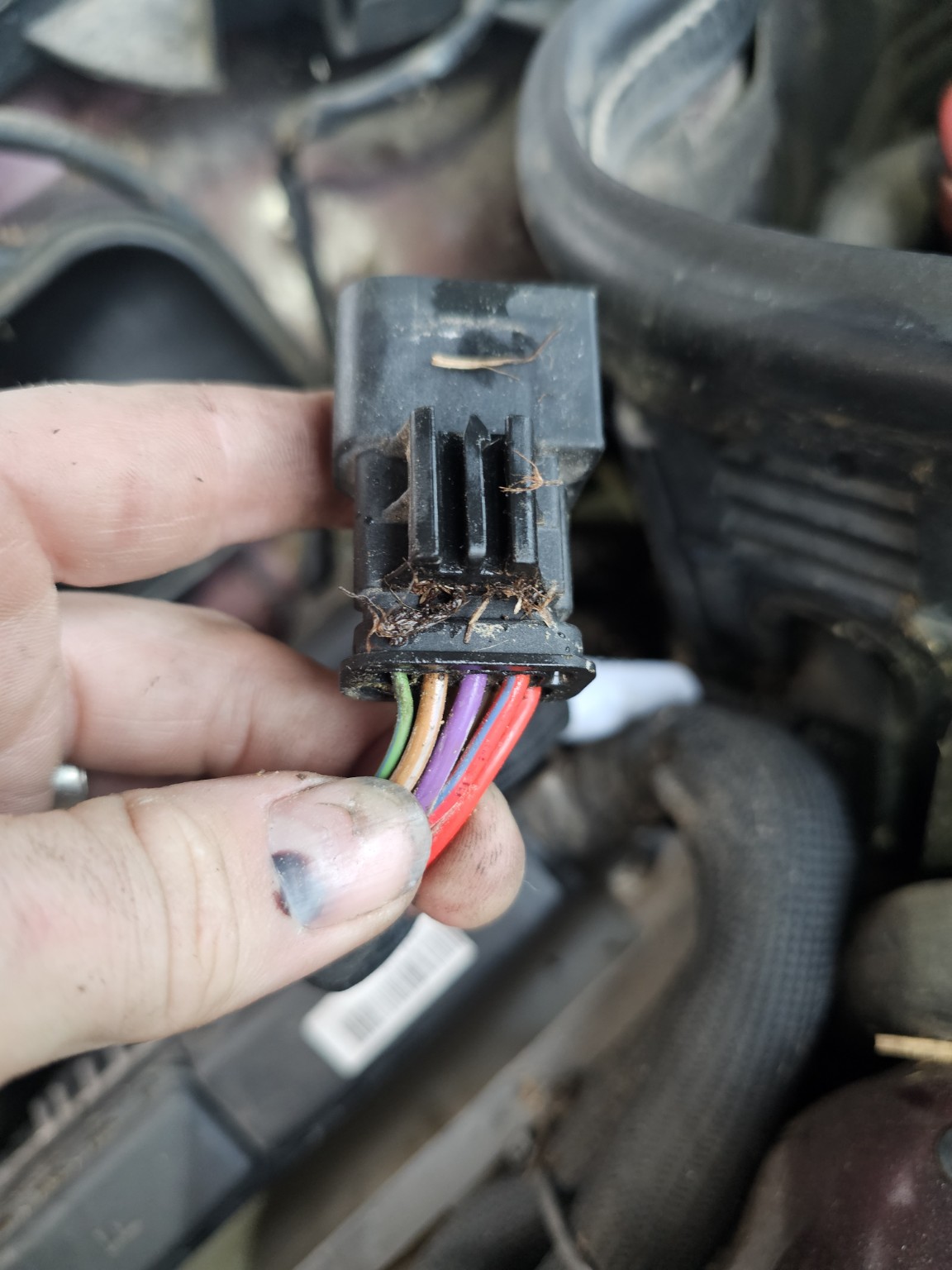 Vehicle wiring connector held for inspection